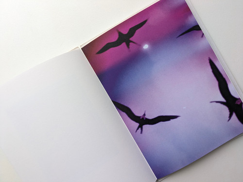 古書・古本 | Liebbooks |Bird's set Sun's / Mark Borthwick
