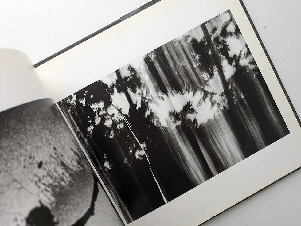 Thumbnail: Omaggio a Spoon River / Mario Giacomelli