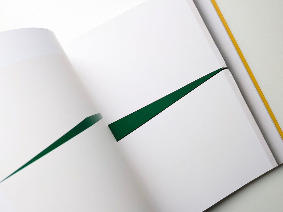 Thumbnail: Lines of Sight / Carmen Herrera