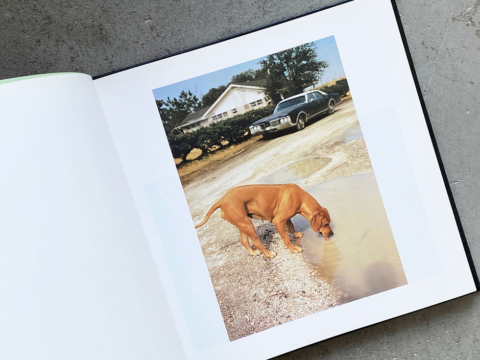 サムネイル： William Eggleston's Guide | ウィリアム・エグルストン 写真集