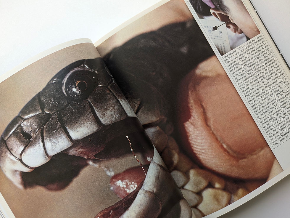 サムネイル： twen REVISION EINER LEGENDE / MICHAEL KOETZLE