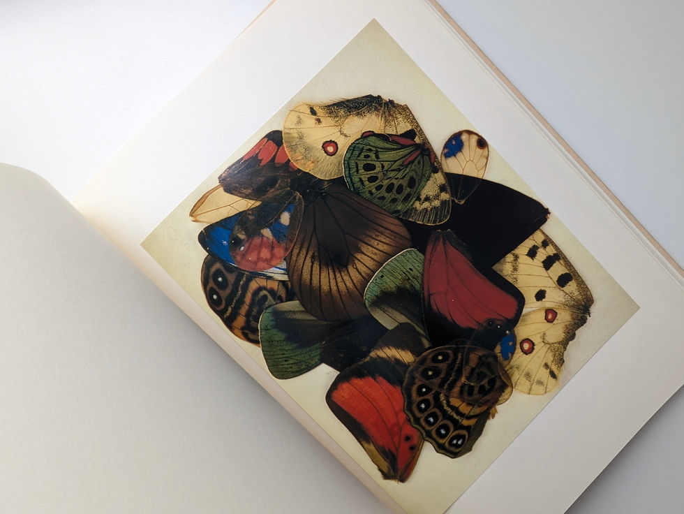 Thumbnail: INTO THE SILENT LAND / YOSHIHIKO UEDA [上田義彦]