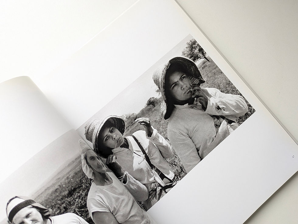 Thumbnail: TERRA Struggle of  the  landless  /  SEBASTIANO SALGADO