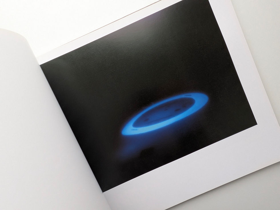 サムネイル： Phototrophy / Thomas Demand