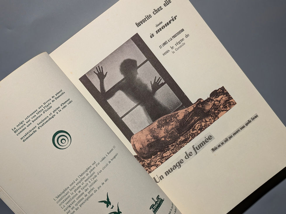 サムネイル： ART VIVANT アール・ヴィヴァン 25号　特集=骰子の七番目の目