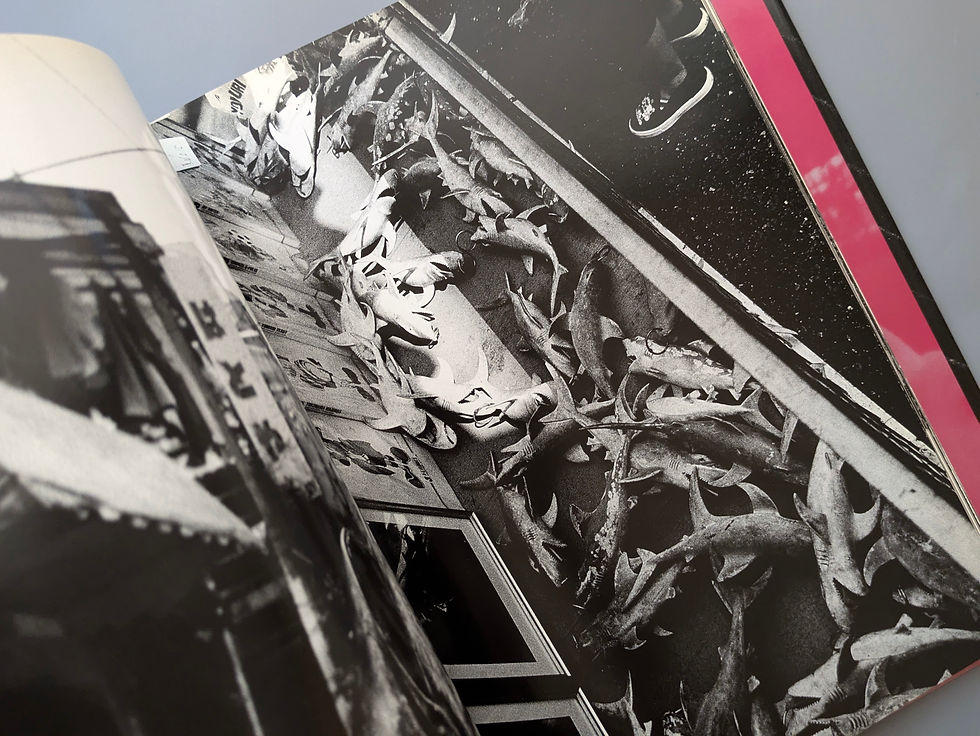 サムネイル： NU・E  / 楢橋朝子 [Asako Narahashi]