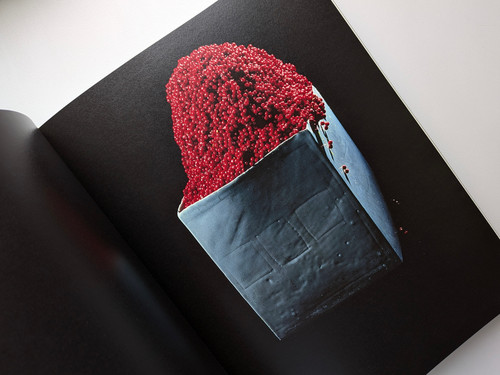 中川幸夫 作品集 魔の山 求龍堂 2003 古書・古本 | Liebbooks |