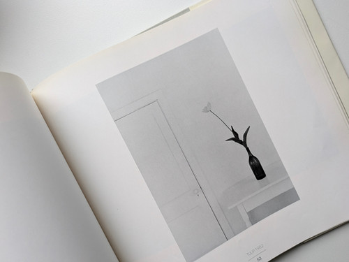 古書・古本 | Liebbooks |Revealing Light / LILO RAYMOND