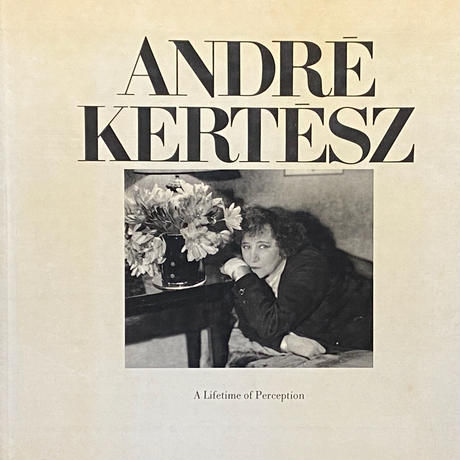 A lifetime of perception / Andre Kertesz