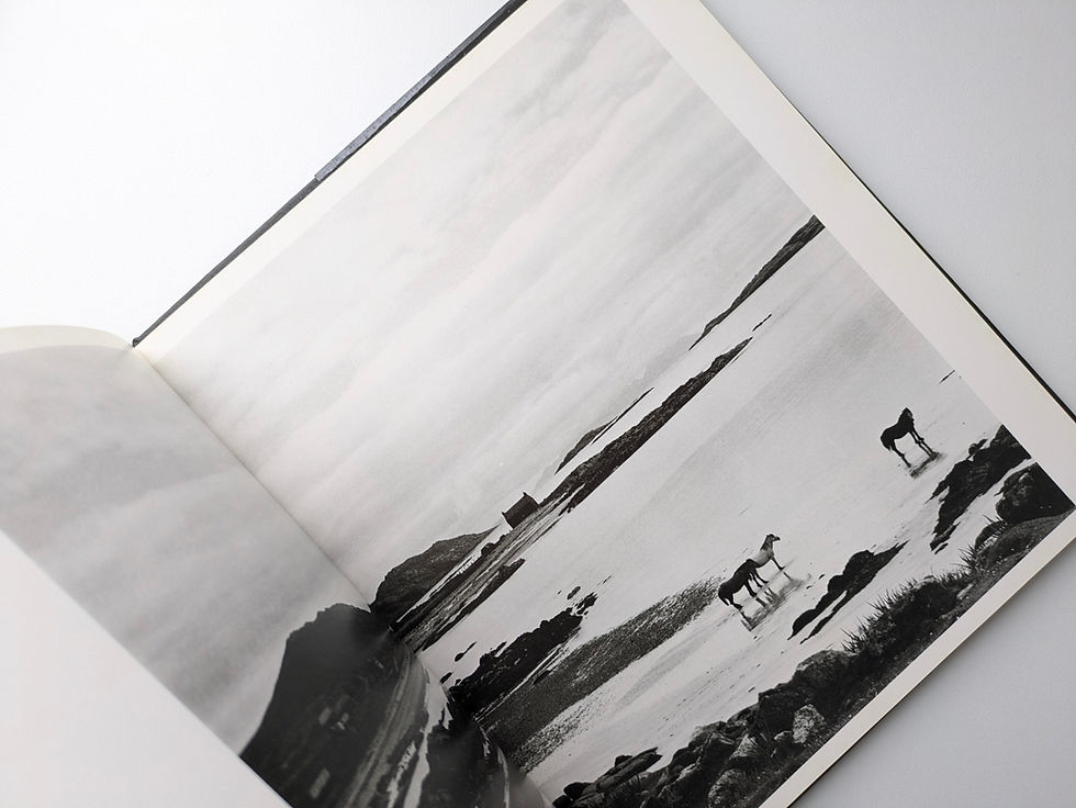 PAUL STRAND 写真集　洋書　アート　フォトグラファー Paul Strand: Portfolio Two | Aperture