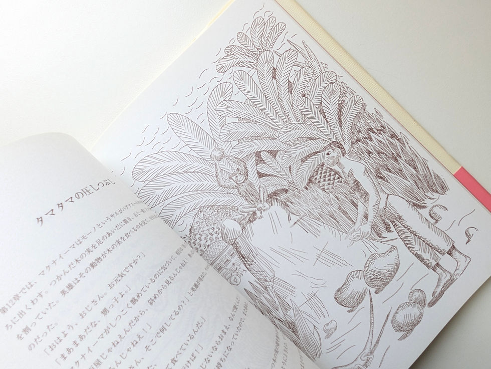 サムネイル： 図説 マクナイーマ 無性格な英雄の世界