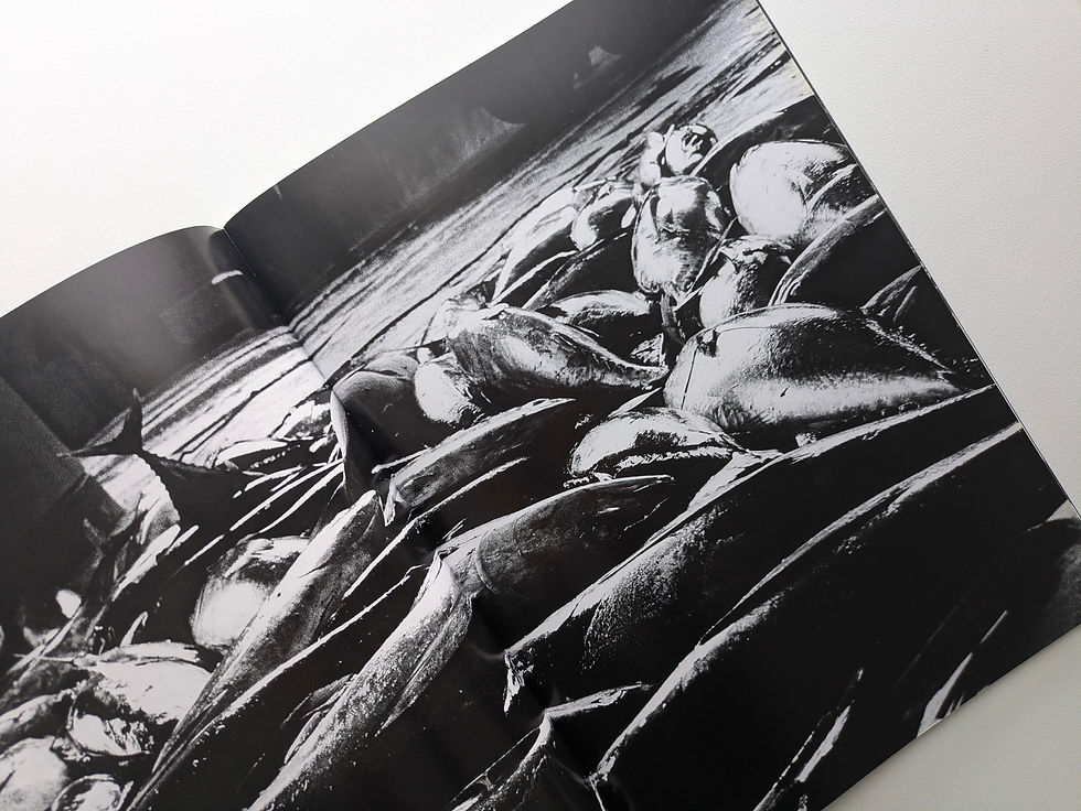 サムネイル： it / DAIDO MORIYAMA