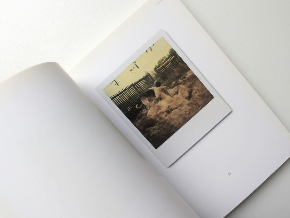 Thumbnail: Instant Light : Tarkovsky Polaroids