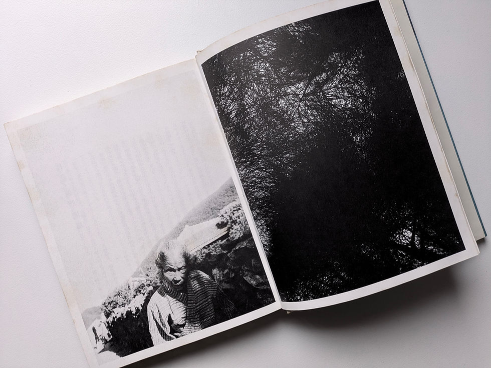 東松照明　朱もどろの華　沖縄日記 朱もどろの華―沖縄日記 (1976年) | 東松 照明 |本 | 通販 | Amazon