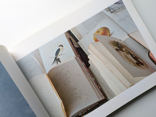 Luigi Ghirri『Here Is Beautiful』希少本 it's beautiful here isn't it luigi ghirri | 誠光社