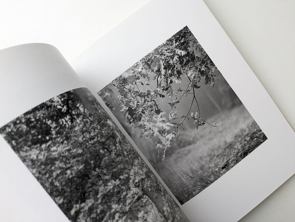 Thumbnail: NATUR / MICHAEL SCHMIDT