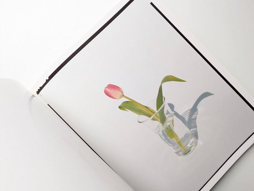 サムネイル： YOSHIHIKO UEDA : FLOWERS [上田義彦]