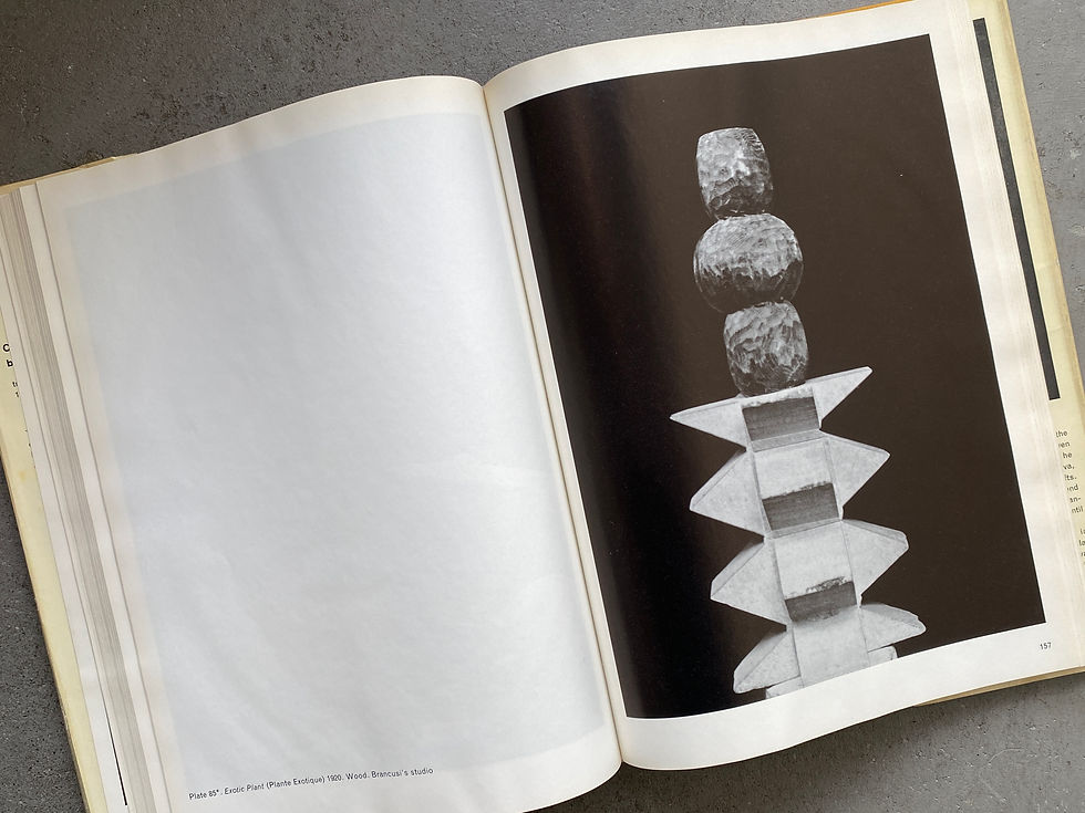 サムネイル： Constantin Brancusi