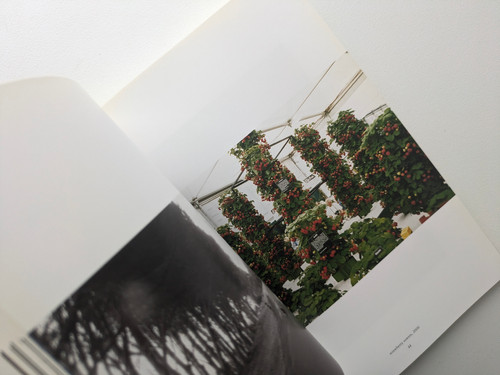 古書・古本 | Liebbooks |Wolfgang Tillmans : Wako Book 4