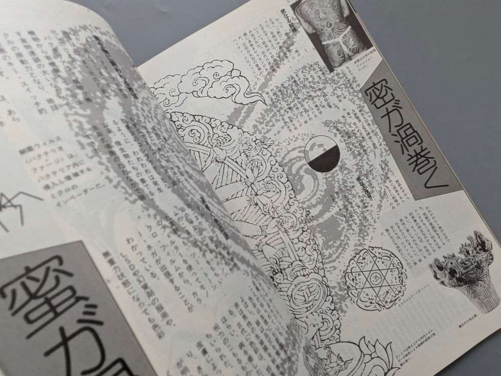 サムネイル： 遊 1014 1980年11月 特集 舞う 論理はファッションだ