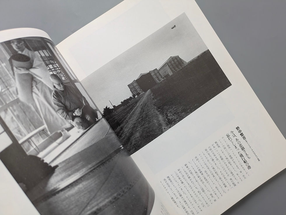 サムネイル： 遊 1029 1982年 2月特大号  特集 科学する 生命はイマジネーションだ