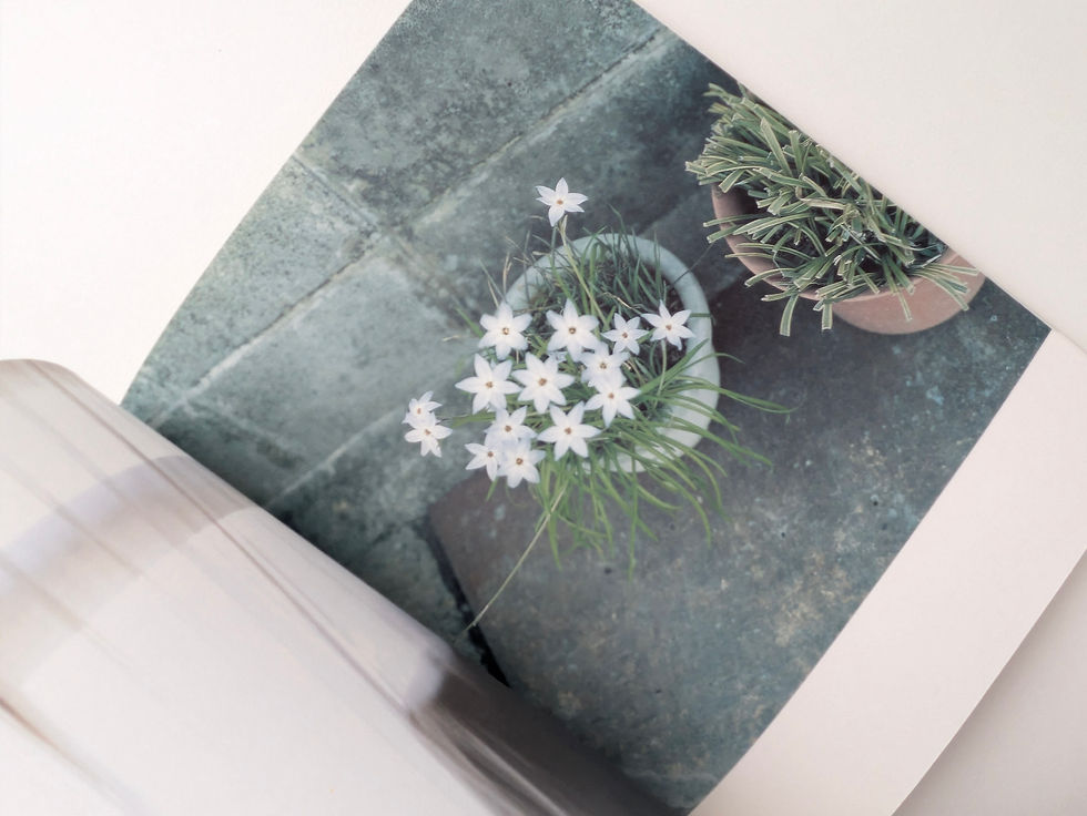 Thumbnail: 花子  /  川内倫子