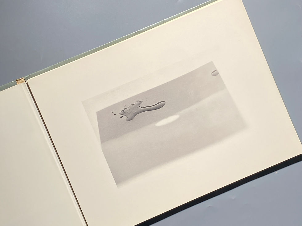 サムネイル： 軌道回帰 Shoji Ueda Polaroid 35mm Photo Album/ 植田正治