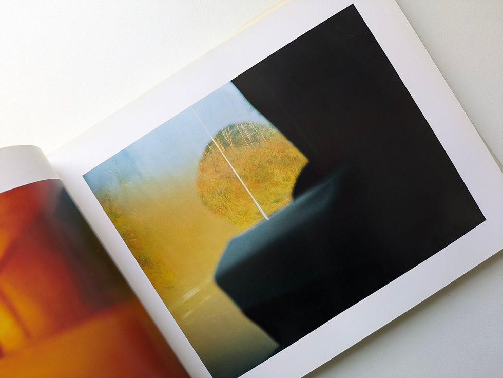 鈴木理策 Risaku Suzuki 『PILES OF TIME』光琳社出版 Piles of Time - 鈴木 理策 / Risaku Suzuki
