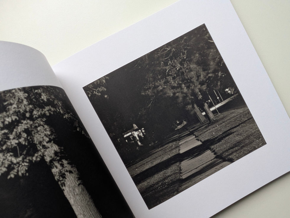 サムネイル： Summer Nights, Walking: Along the Colorado Front Range 1976-1982 / Robert Adams