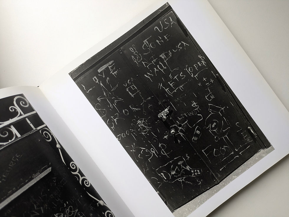 Thumbnail: Friedlander  : THE MUSEUM OF MODERN ART