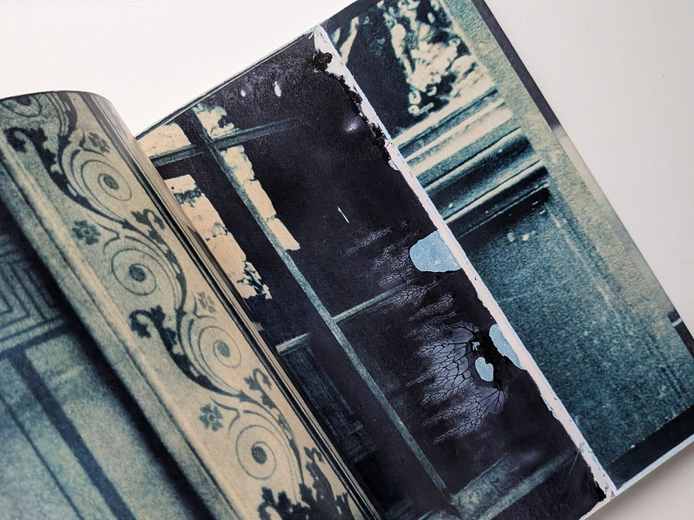 Thumbnail: The Fashion Pictures / Deborah Turbeville
