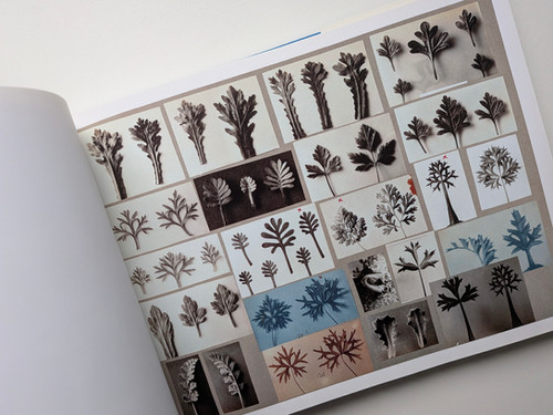 古書・古本 | Liebbooks |Karl Blossfeldt: Working Collages
