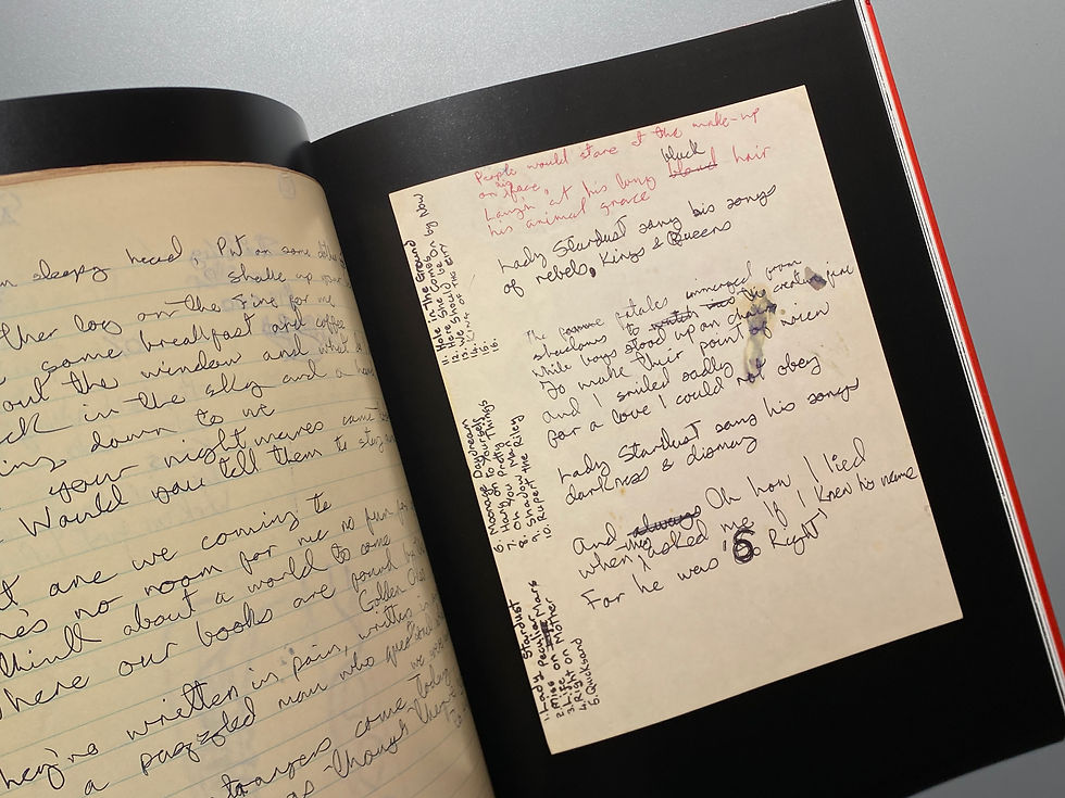 サムネイル： DAVID BOWIE IS  INSIDE