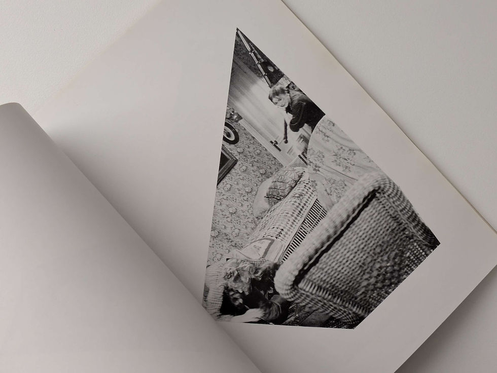 サムネイル： CLOSE - CROPPED - TALES / JOHN BALDESSARI