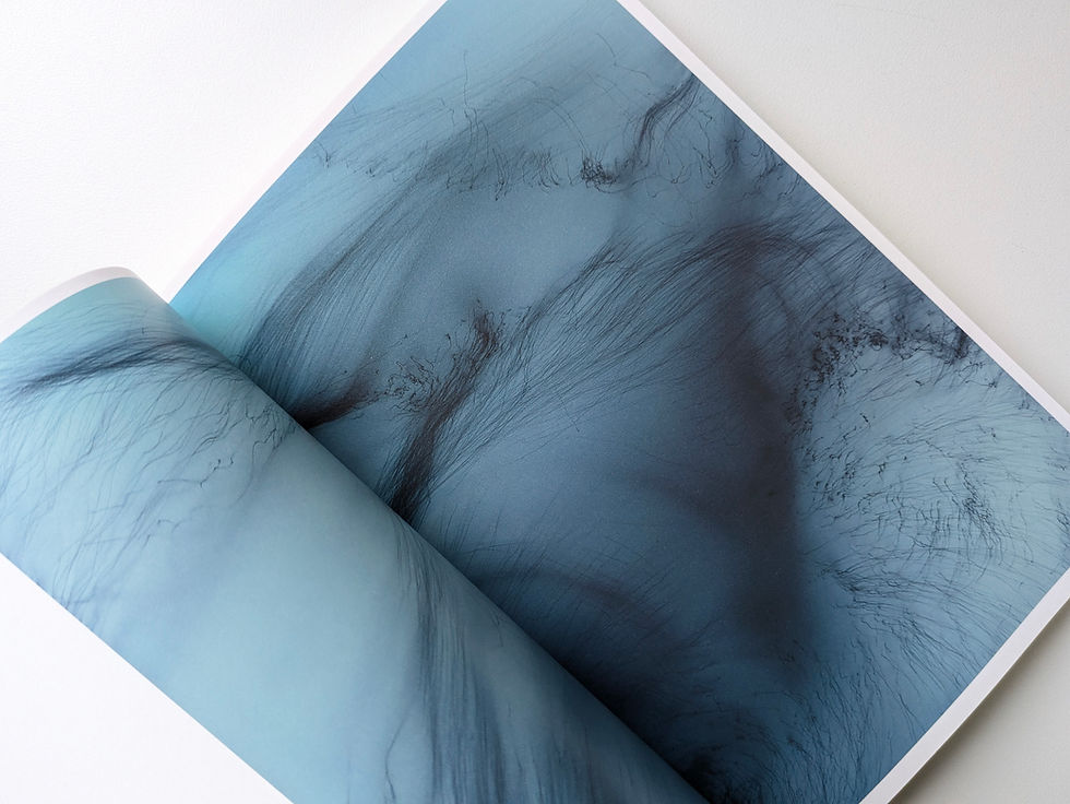 Thumbnail: WOLFGANG TILLMANS  ヴォルフガング・ティルマンス  (BT BOOKS)