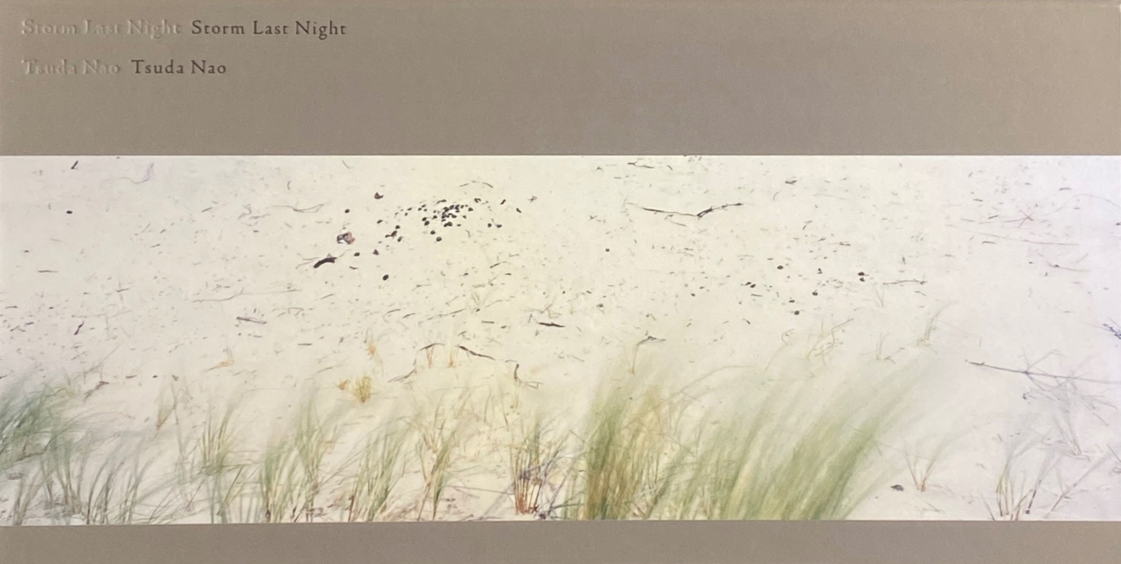 storm last night / 津田直