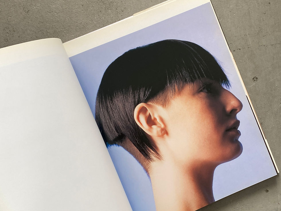 サムネイル： Heads Hair by Guido