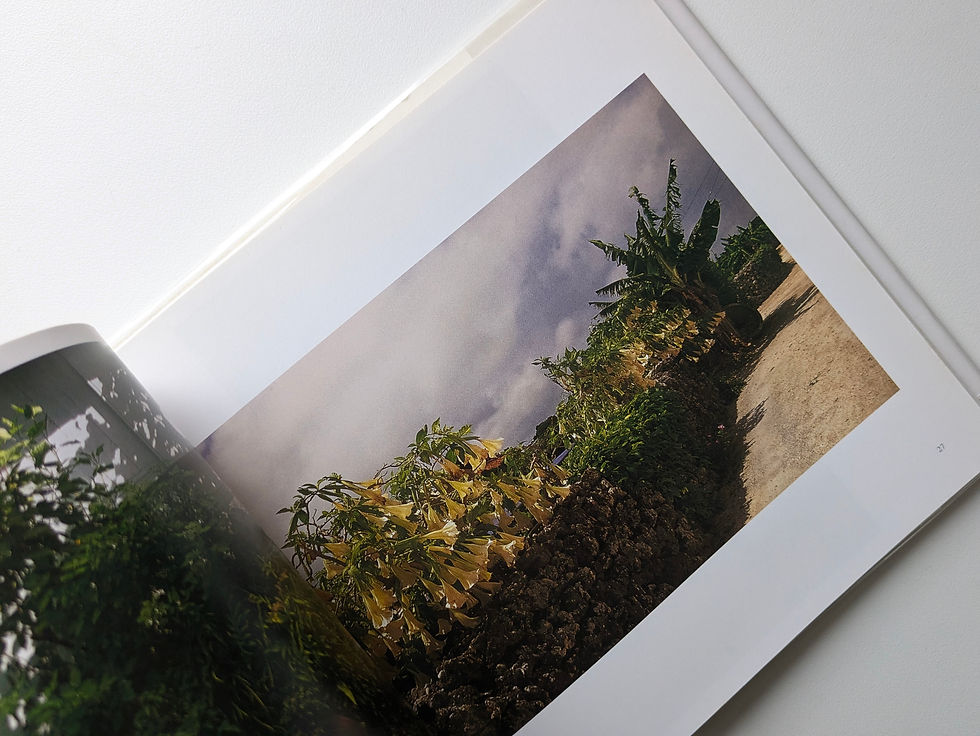 Thumbnail: Bloody moon: うまれるまえみたひかり / Keiko NOMURA [ 野村恵子]