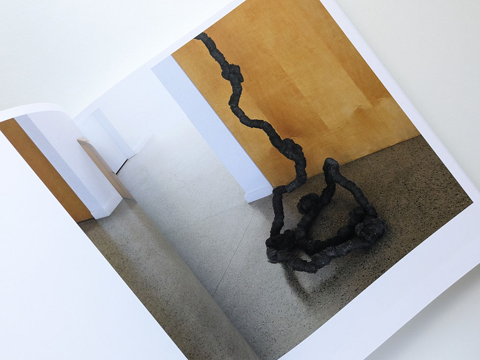 サムネイル： Selection: Art, Architecture and Design from the Collection of Ronnie Sassoon