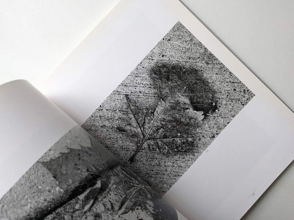 Thumbnail: 写真家 石元泰博 時代を越える静かな眼差し