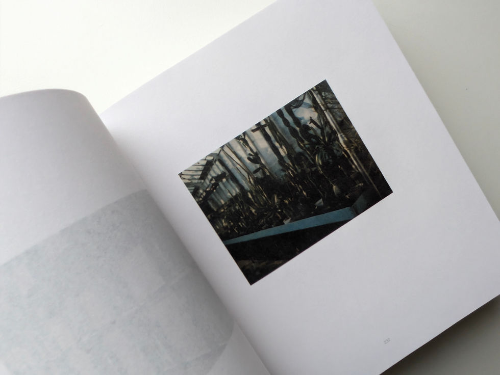 Thumbnail: THOUSAND / Philip-Lorca diCorcia