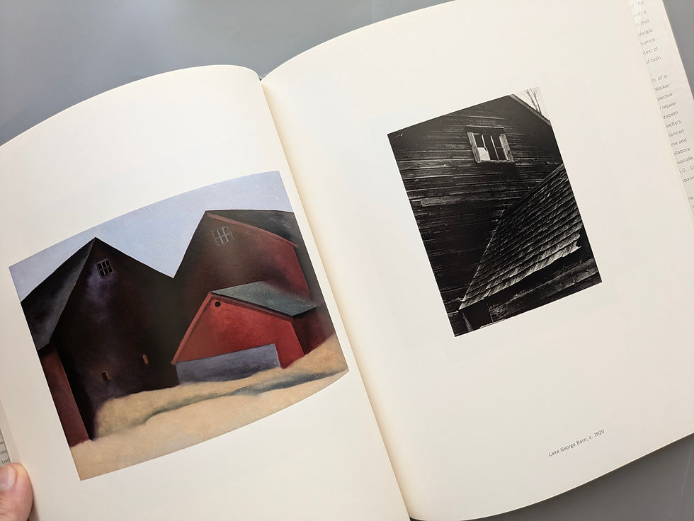 サムネイル： TWO LIVES  a Canversation in Painting  GEORGIA O'KEEFFE & ALFRED STIEGLITZ