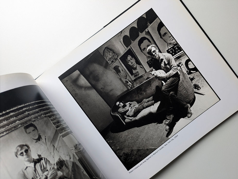 Thumbnail: BRUCE  DAVIDSON  PORTRAITS