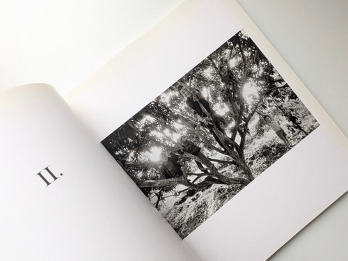 古書・古本 | Liebbooks |An Uncertain Grace / SEBASTIAO SALGADO