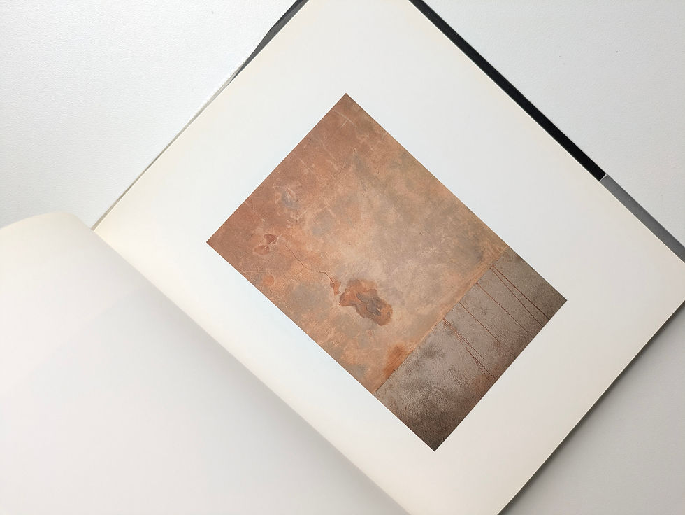 Thumbnail: ABSTRACT REALITY / DENNIS HOPPER  デニス・ホッパー写真集