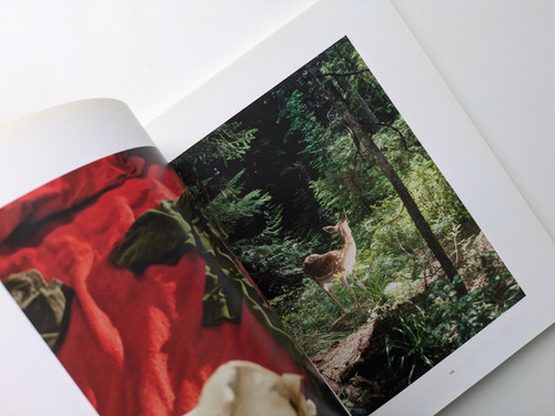 古書・古本 | Liebbooks |Thumbsucker: Photography from the film by