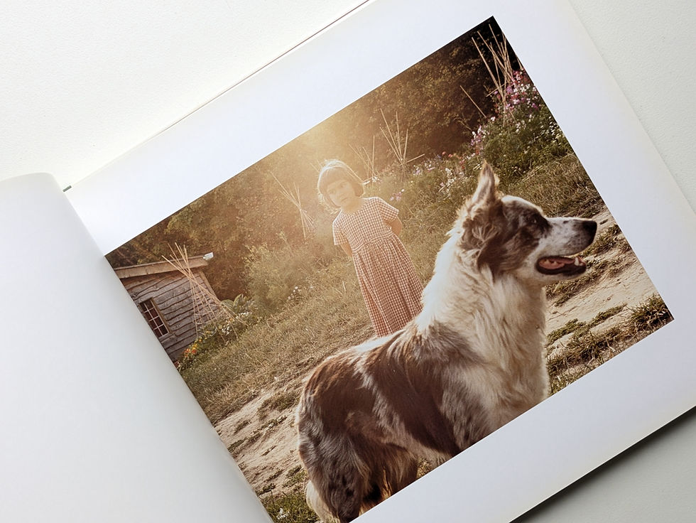 サムネイル： Somerset Stories : Fivepenny Dreams / Venetia Dearden