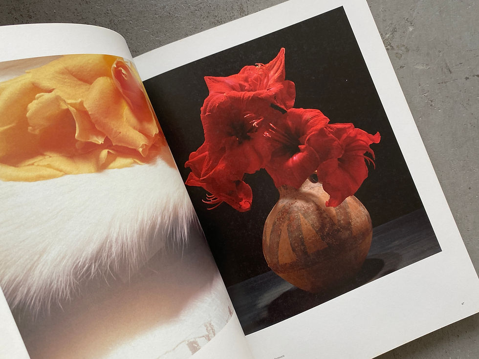 サムネイル： 花人 中川幸夫の写真・ガラス・書　いのちのかたち