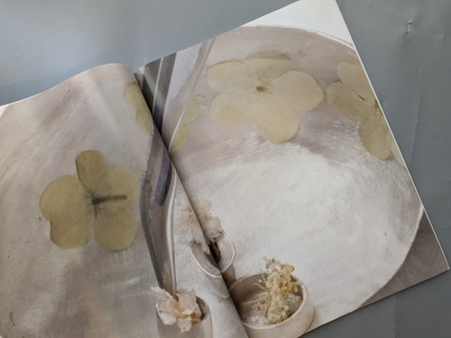 石上純也 作品集 Balloon&gardens Junya Ishigami balloon & gardens 石上純也 | SO BOOKS