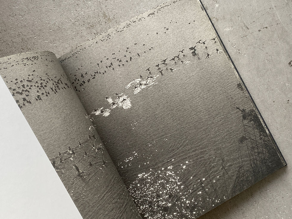 サムネイル： Des oiseaux / Byung-Hun Min